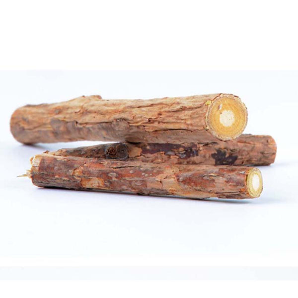 Chew Toy Dental Health