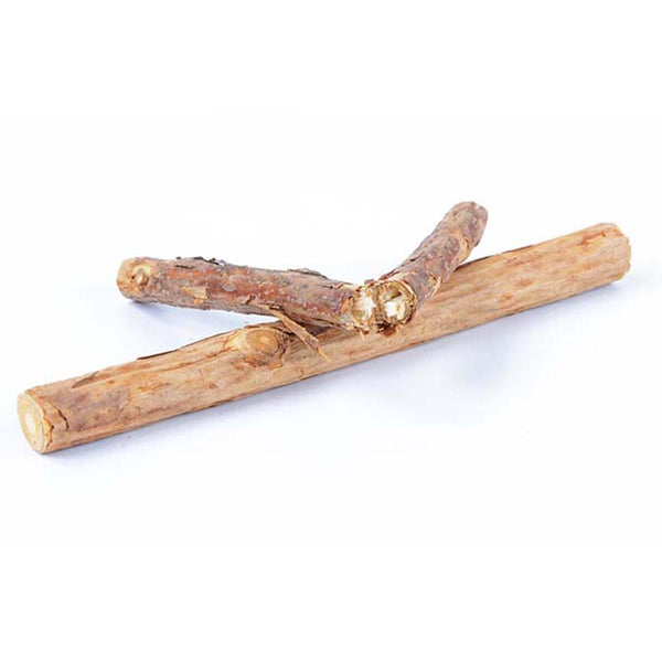 Chew Toy Dental Health