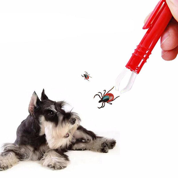 Tick Remover Tweezers