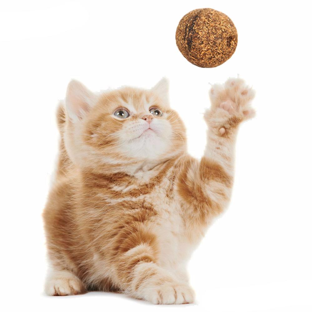Pet Cat Natural Catnip Ball