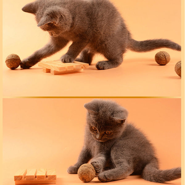 Pet Cat Natural Catnip Ball